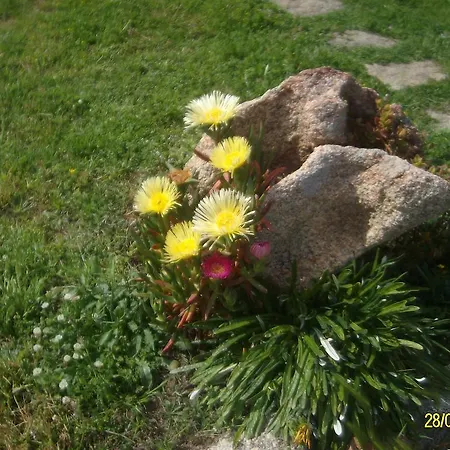 Agriturismo Spridda 阿尔扎凯纳