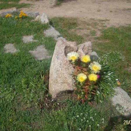 לינה וארוחת בוקר Agriturismo Spridda *