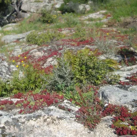 住宿加早餐酒店 Agriturismo Spridda *
