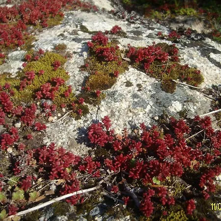Agriturismo Spridda *