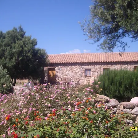 לינה וארוחת בוקר Agriturismo Spridda ארזח'ינה