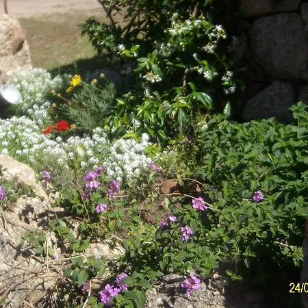 Nocleg ze śniadaniem Agriturismo Spridda