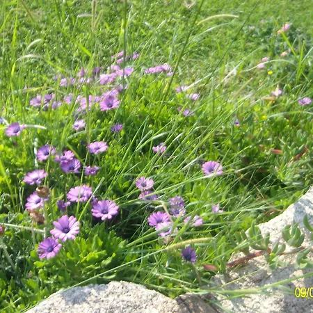 Agriturismo Spridda Bed & Breakfast *