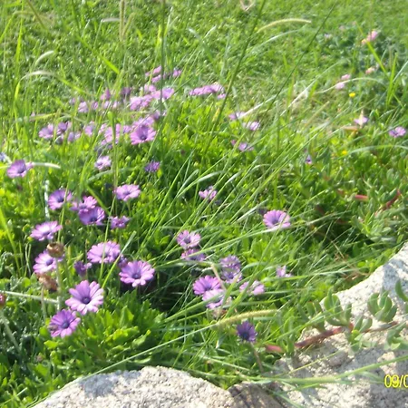 Agriturismo Spridda Nocleg ze śniadaniem *