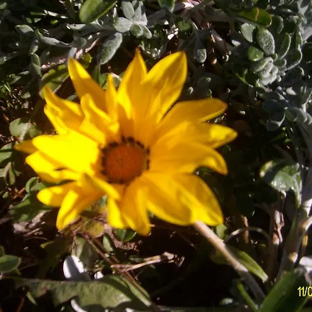 Agriturismo Spridda 住宿加早餐酒店 阿尔扎凯纳