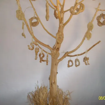 Agriturismo Spridda לינה וארוחת בוקר