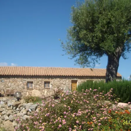 Bed & Breakfast Agriturismo Spridda Arzachena