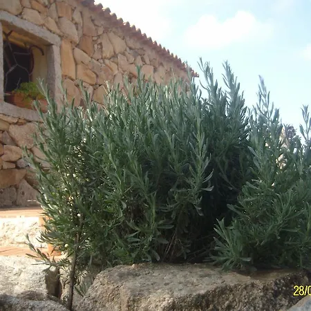 Agriturismo Spridda Bed & Breakfast Arzachena